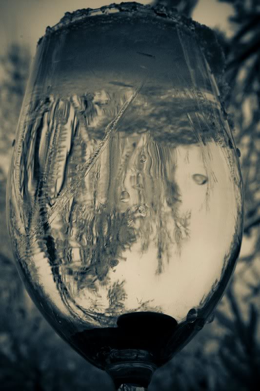 wine with snow and ice - earth