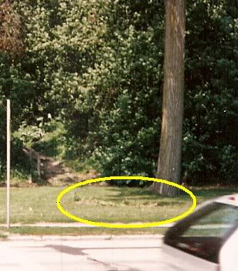 proud tall 5th multi stump area