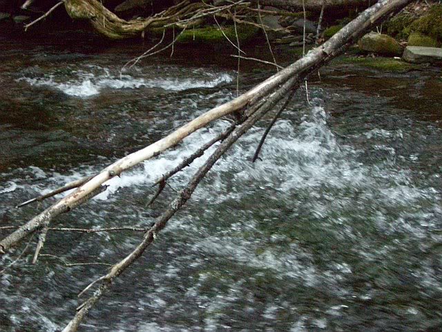 Rider Hollow Brook, cont.