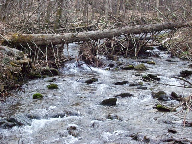 Rider Hollow Brook