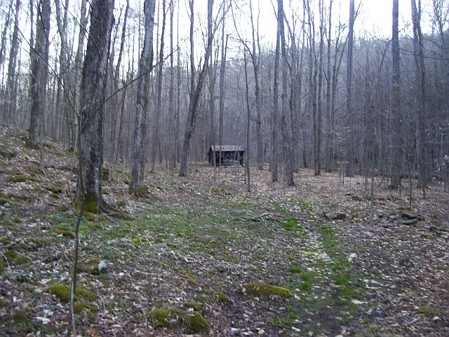 the lean-to, looking back