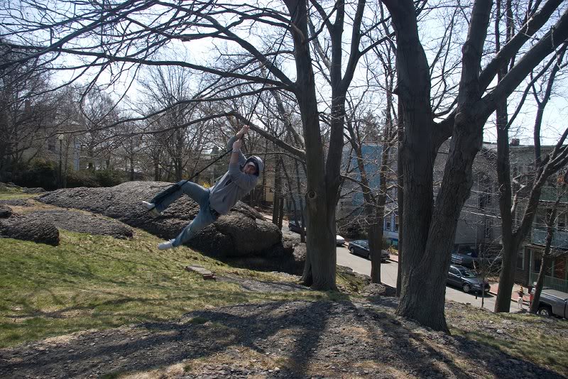 2428650968_74ab 4d88d7_b