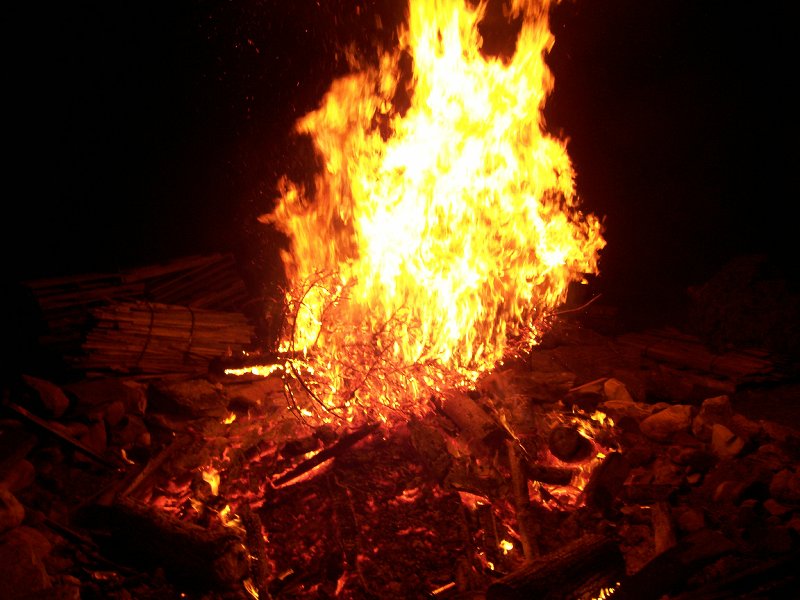 The christmas tree didn't have a chance!