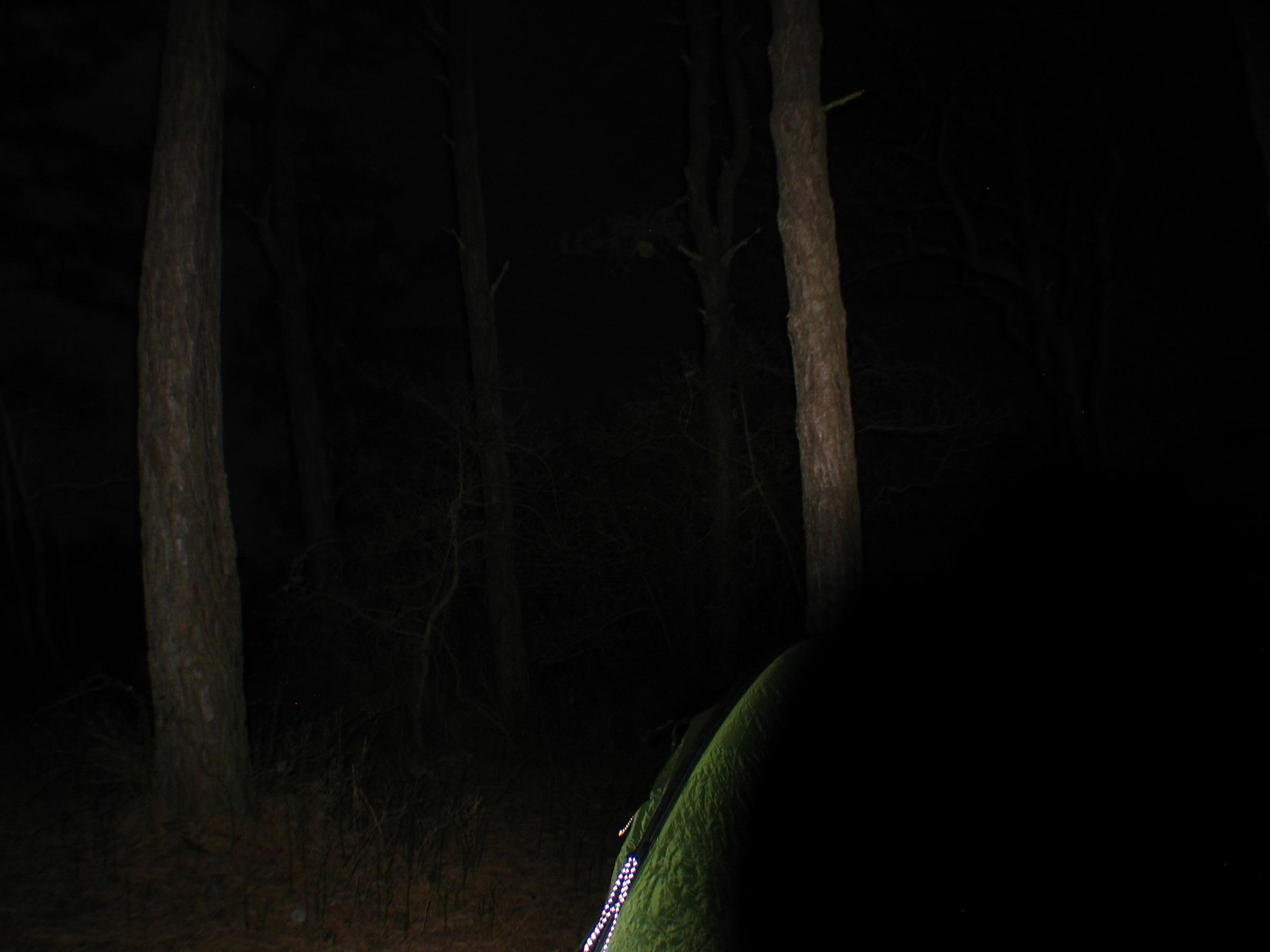 02_CG5_IMG_0011 _041808_2350