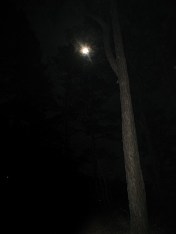 03_CG5_IMG_0013 _041808_2352