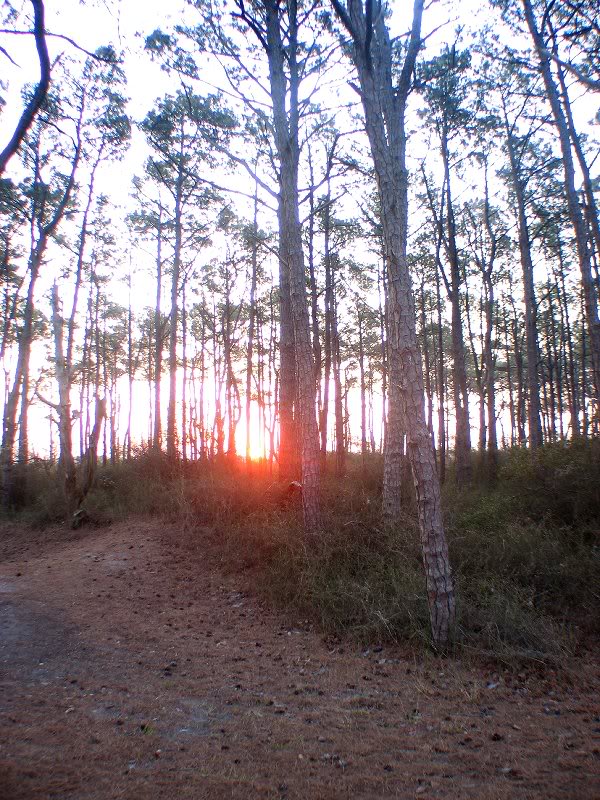 04_CG5_IMG_0017 _041908_0531