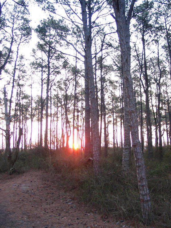 05_CG5_IMG_0018 _041908_0532