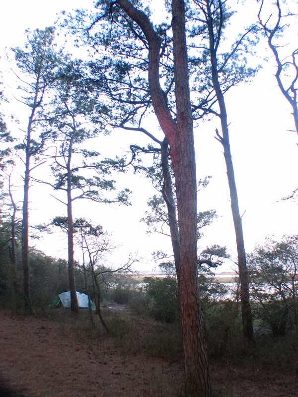 06_CG5_IMG_0019 _041908_0534