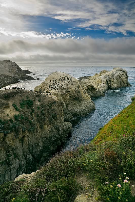 Bird Island (Point Lobos CA)
