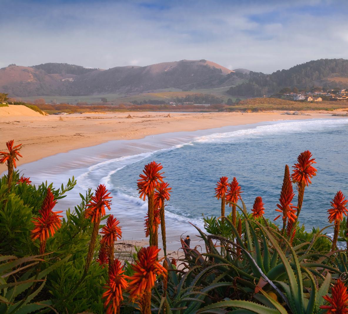 Carmel River Beach (Cropped)