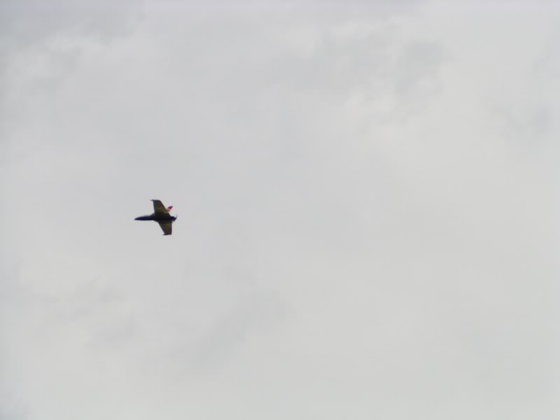 Punggol RC 20080503-04