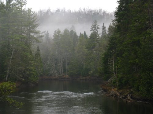 Au Sable River 031