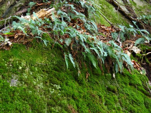 Sentinels-Kilbu rn May 3, 2008 043