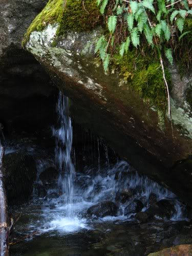 Sentinels-Kilbu rn May 3, 2008 051