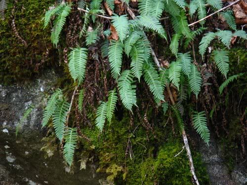 Sentinels-Kilbu rn May 3, 2008 053