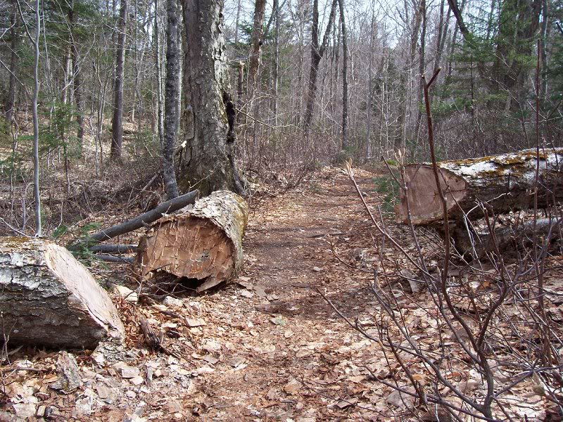 Trail maintenance exercise program!