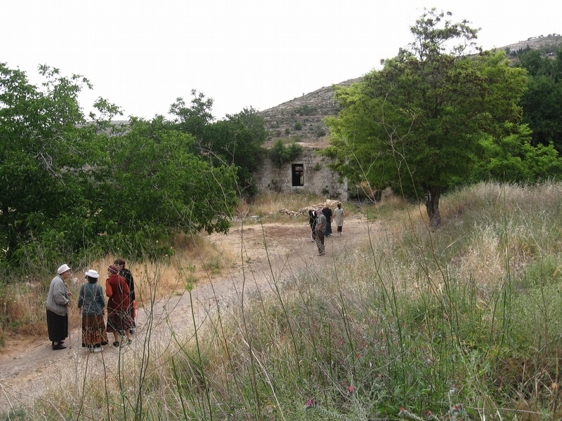 the way to Khan lubban - a caravansara