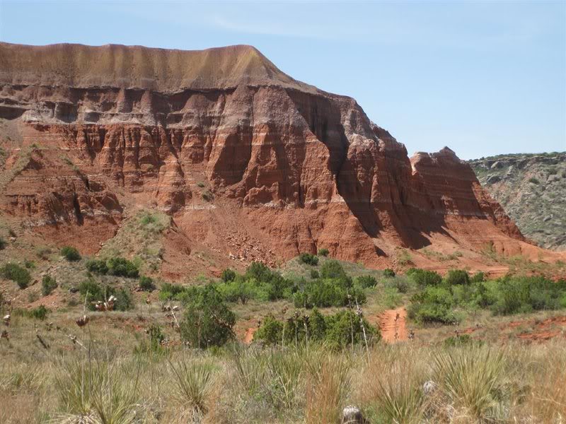 18-mei-2008 013 (Large)