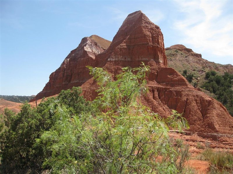 18-mei-2008 016 (Large)