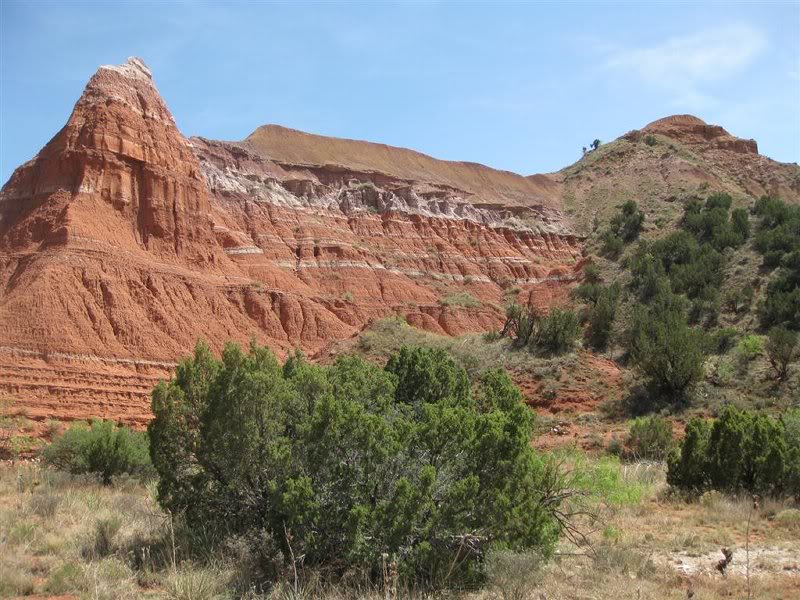 18-mei-2008 018 (Large)