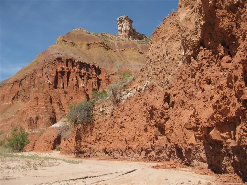 18-mei-2008 021 (Large)