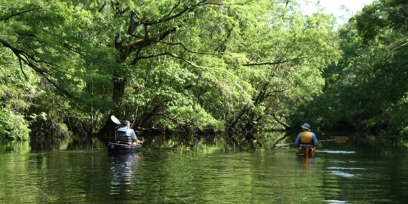 Wambaw Creek 4-20-08
