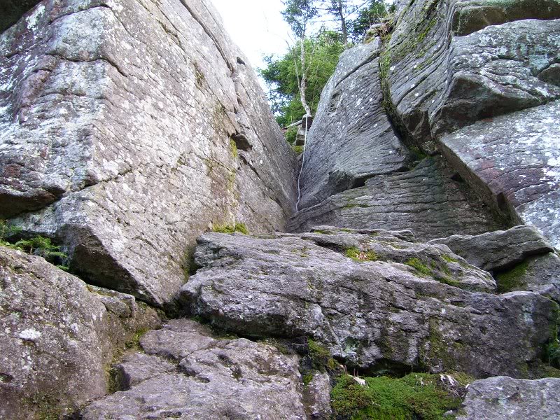 A steep section ascending Cornell Mtn. (the rope helped...