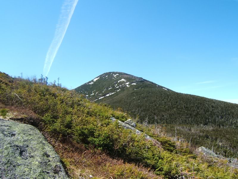 Algonquin from Wright