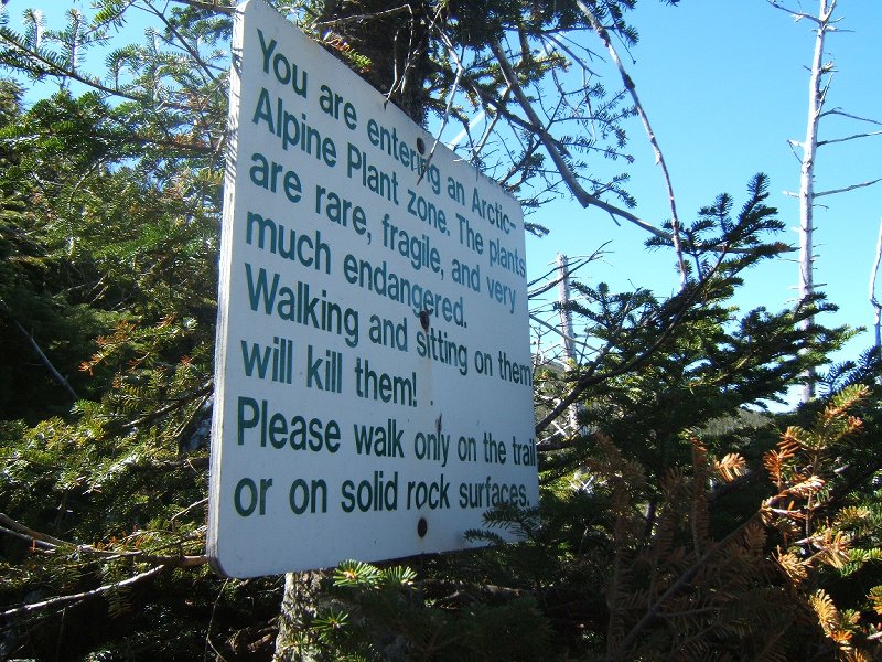 I love the angle of thie shot!