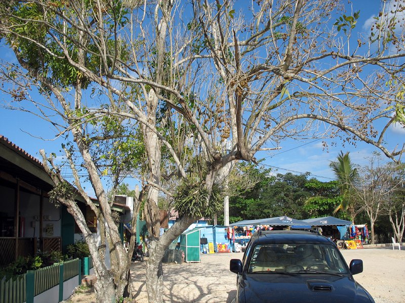 Walk past the vendors and La Punta restaurant toward th...