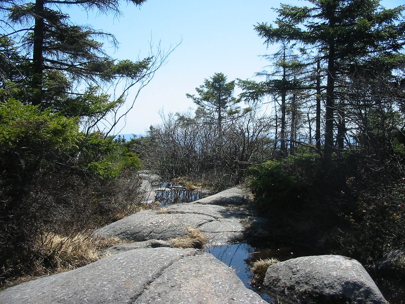 Puddles on the trail
