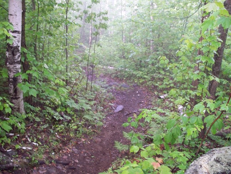 more trail
