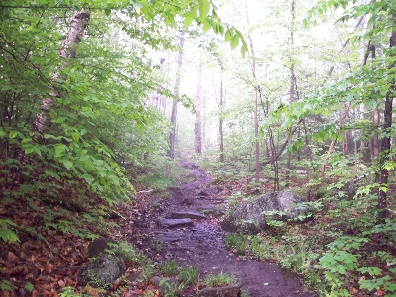 trail to Round Pond