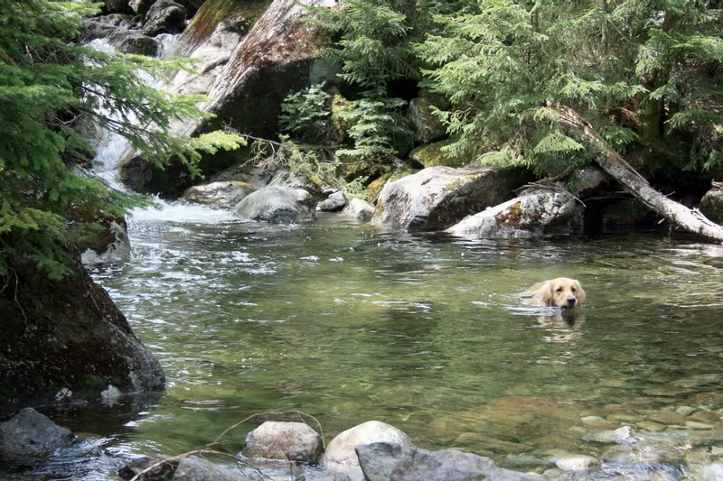 04-LOVIN THE COLD WATER