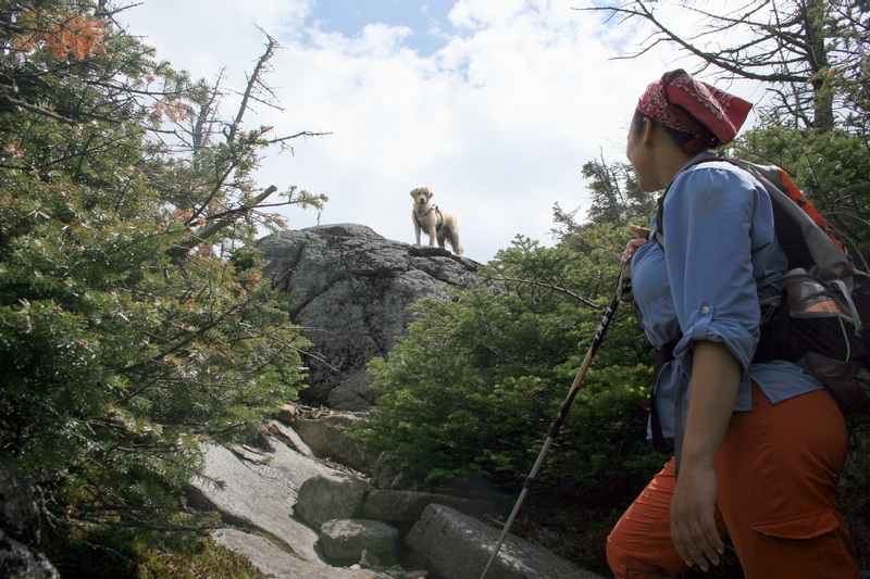 08-WAITING FOR US AS USUAL