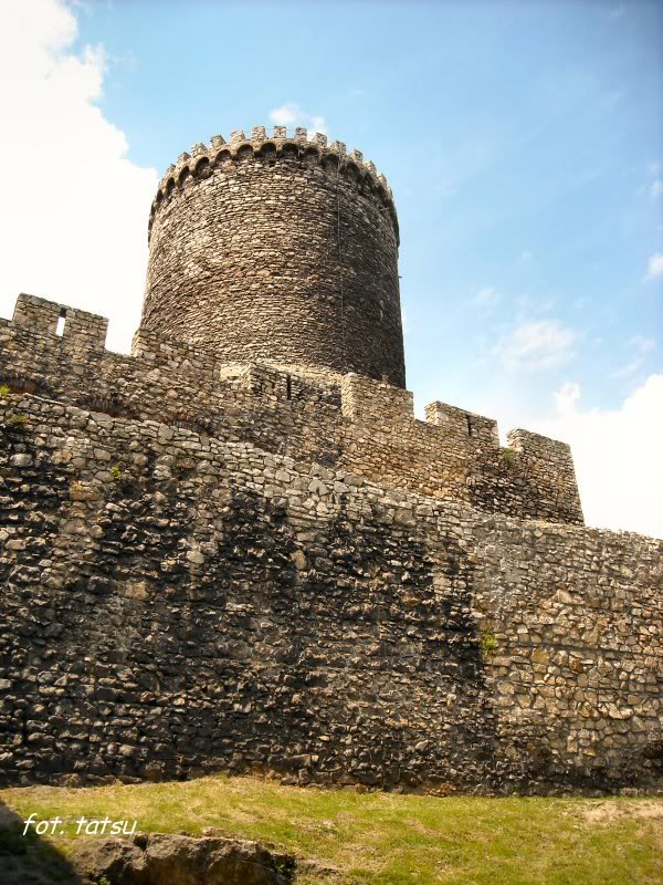 Bedzin (06-08 czerwca 2008)