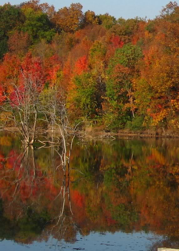 Off Old State Road (Alum Creek)