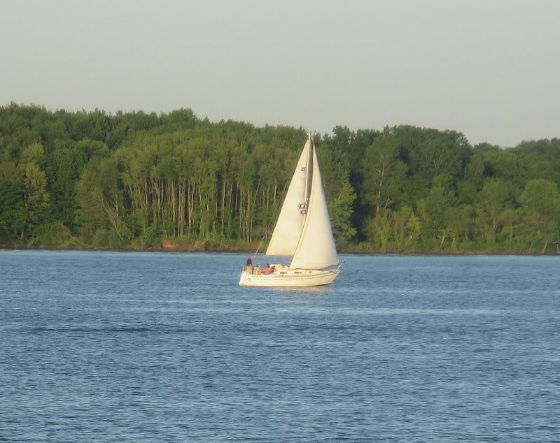 sailboat on Alum Creek State Park, Delaware County, Ohi...
