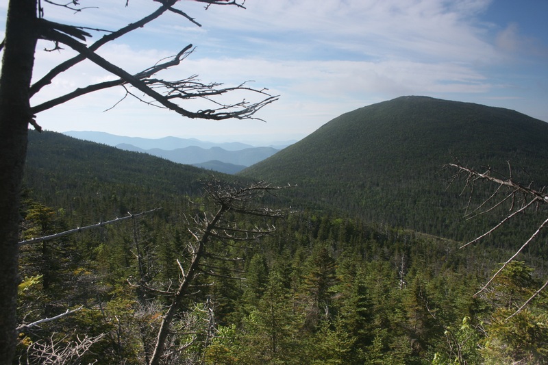 09-SKYLIGHT AND BEYOND