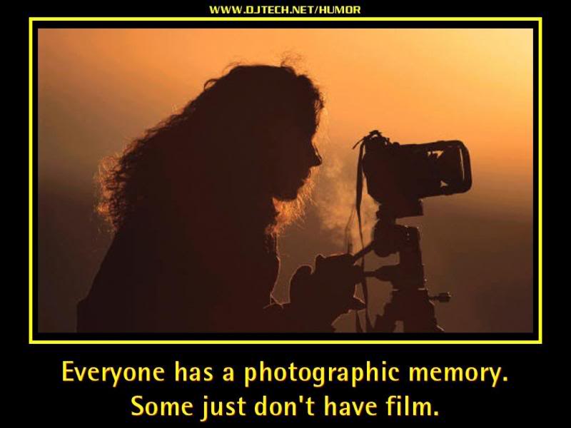 Desktop Wallpaper Allstar Sampler Humor 009