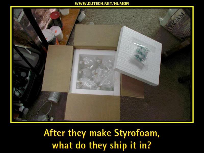 Desktop Wallpaper Allstar Sampler Humor 015