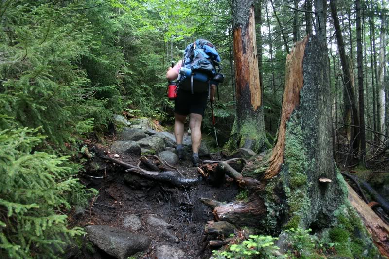 04-AROUND FLOWED LANDS