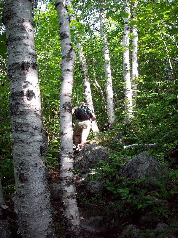 Steve ascending Marble