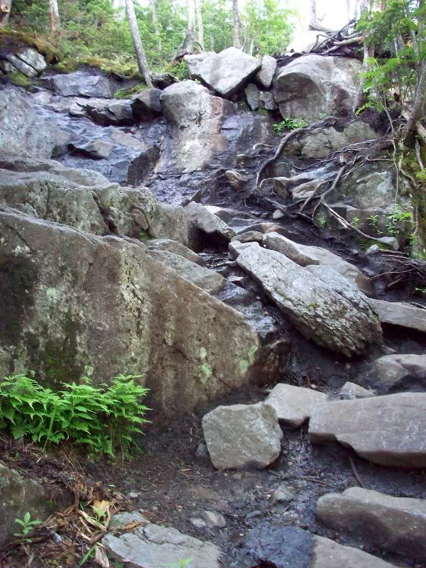 typical of this stretch of trail