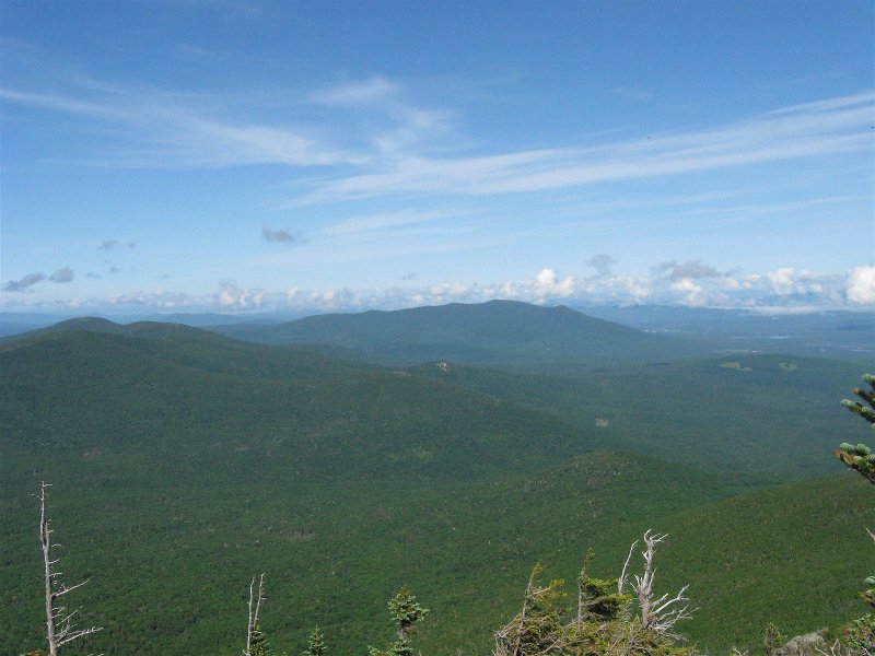 Dartmouth, Deception, Cherry, Martha, OH