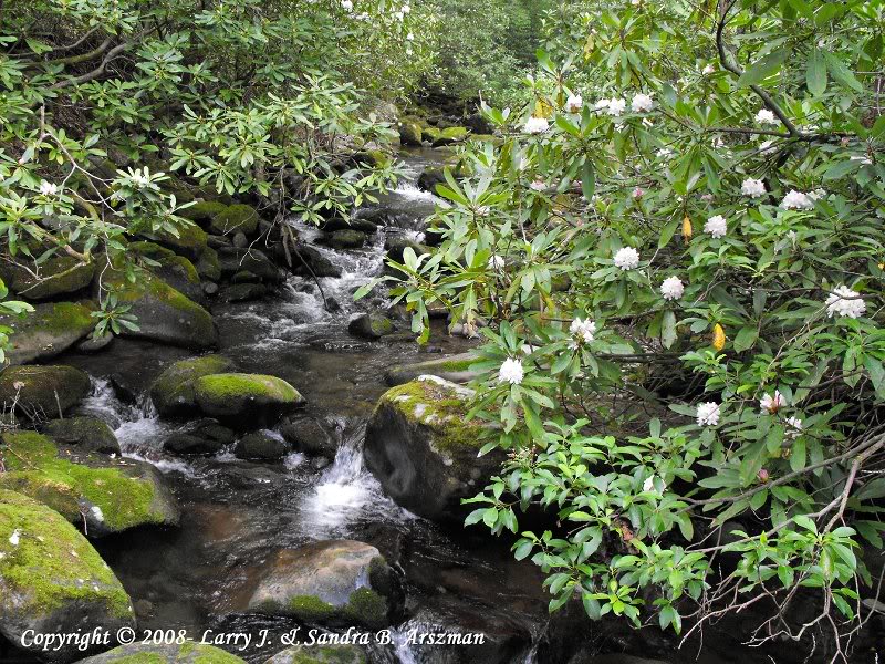 KephartProngTra il12sm