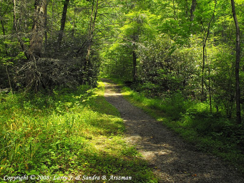 KephartProngTra il13sm