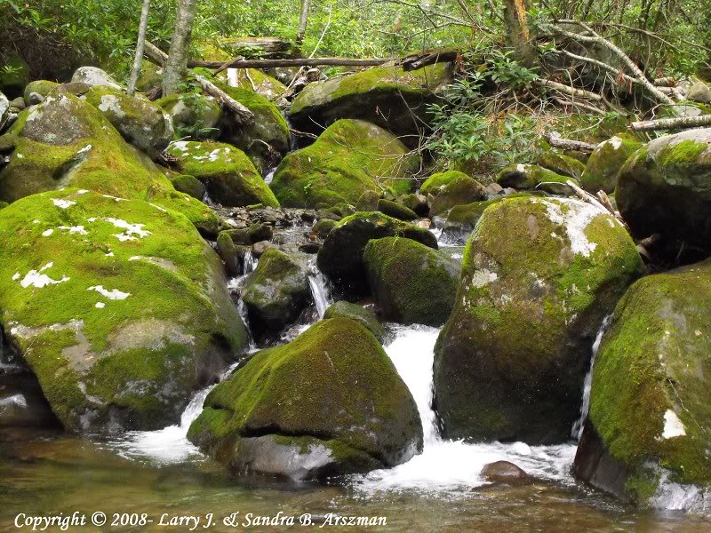 KephartProngTra il18sm