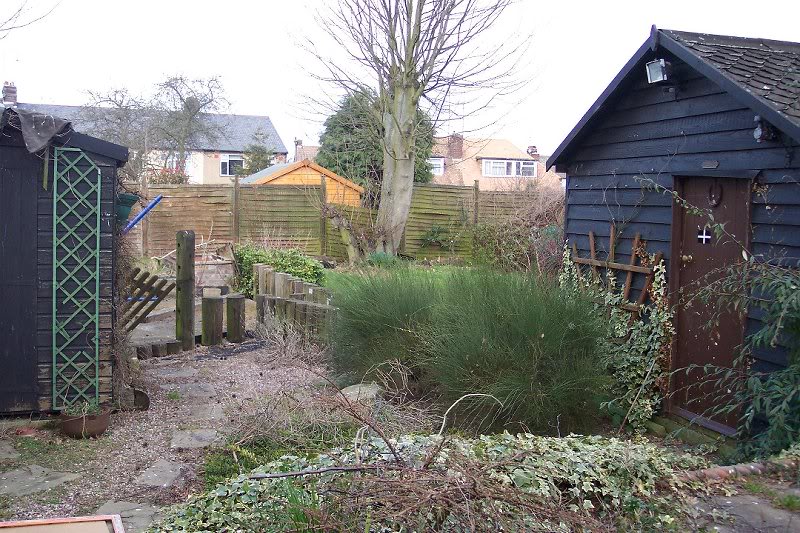 Lawn Area, Shed, and Big Outbuilding