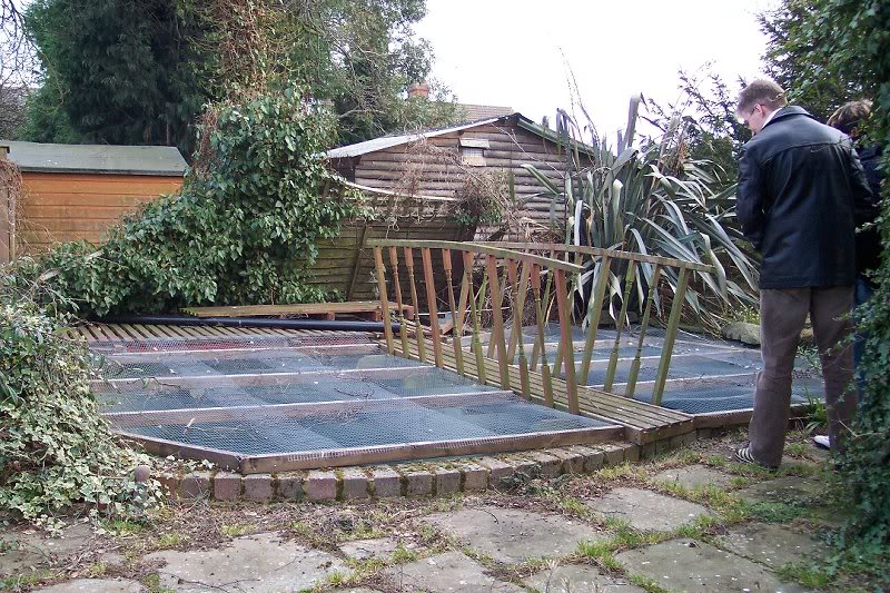 The disused Koi Pond